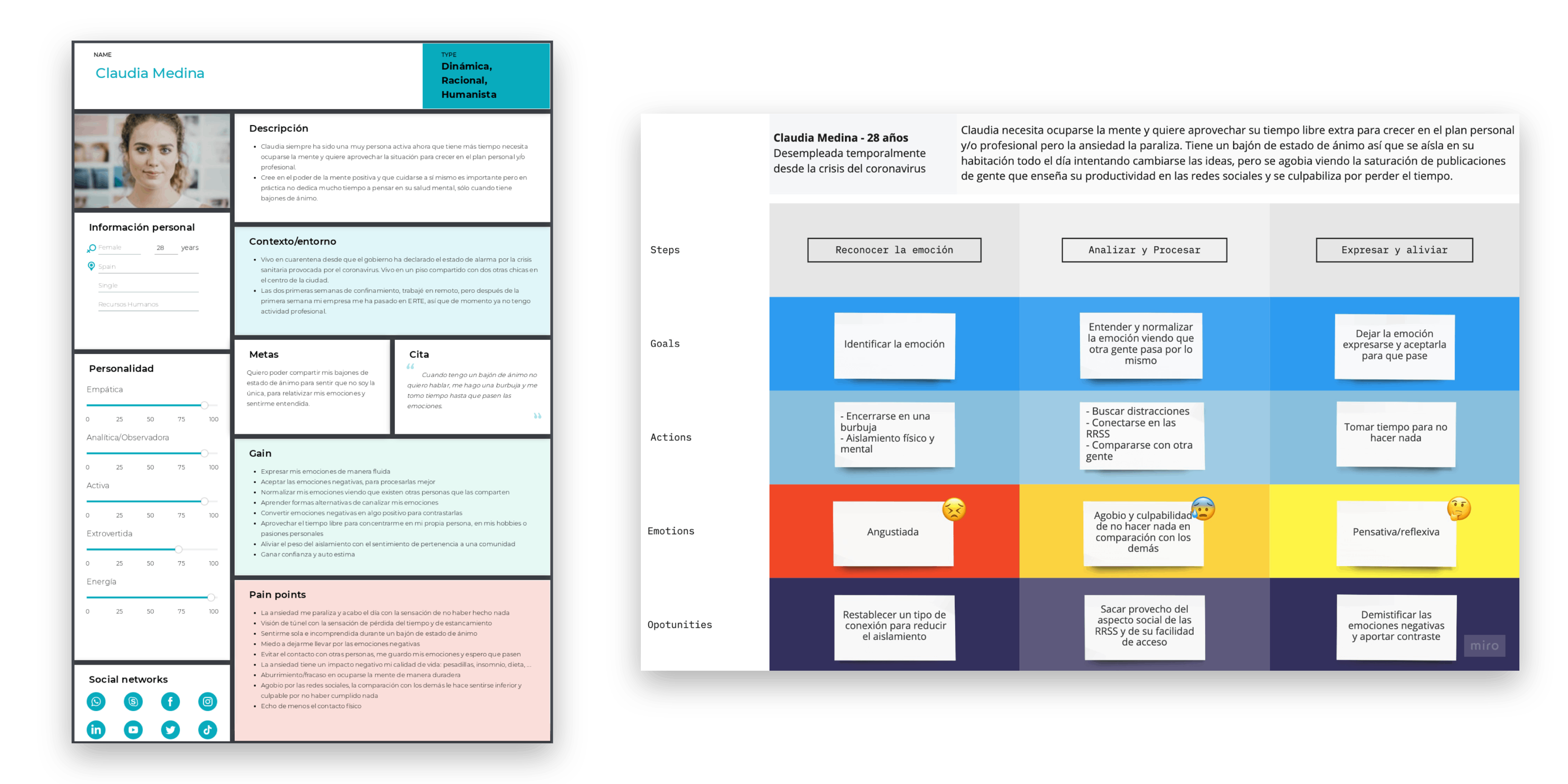 persona and customer journey sayf app project